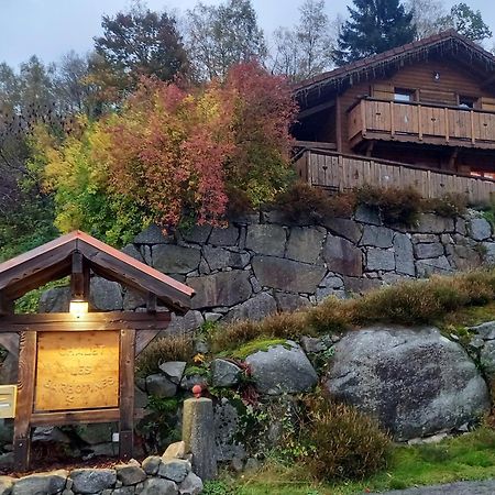 Chalet Typique Vosgien "Les Barbotines" 旺特龙 外观 照片