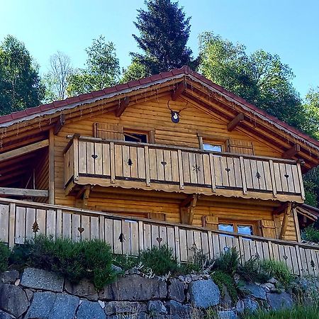 Chalet Typique Vosgien "Les Barbotines" 旺特龙 外观 照片