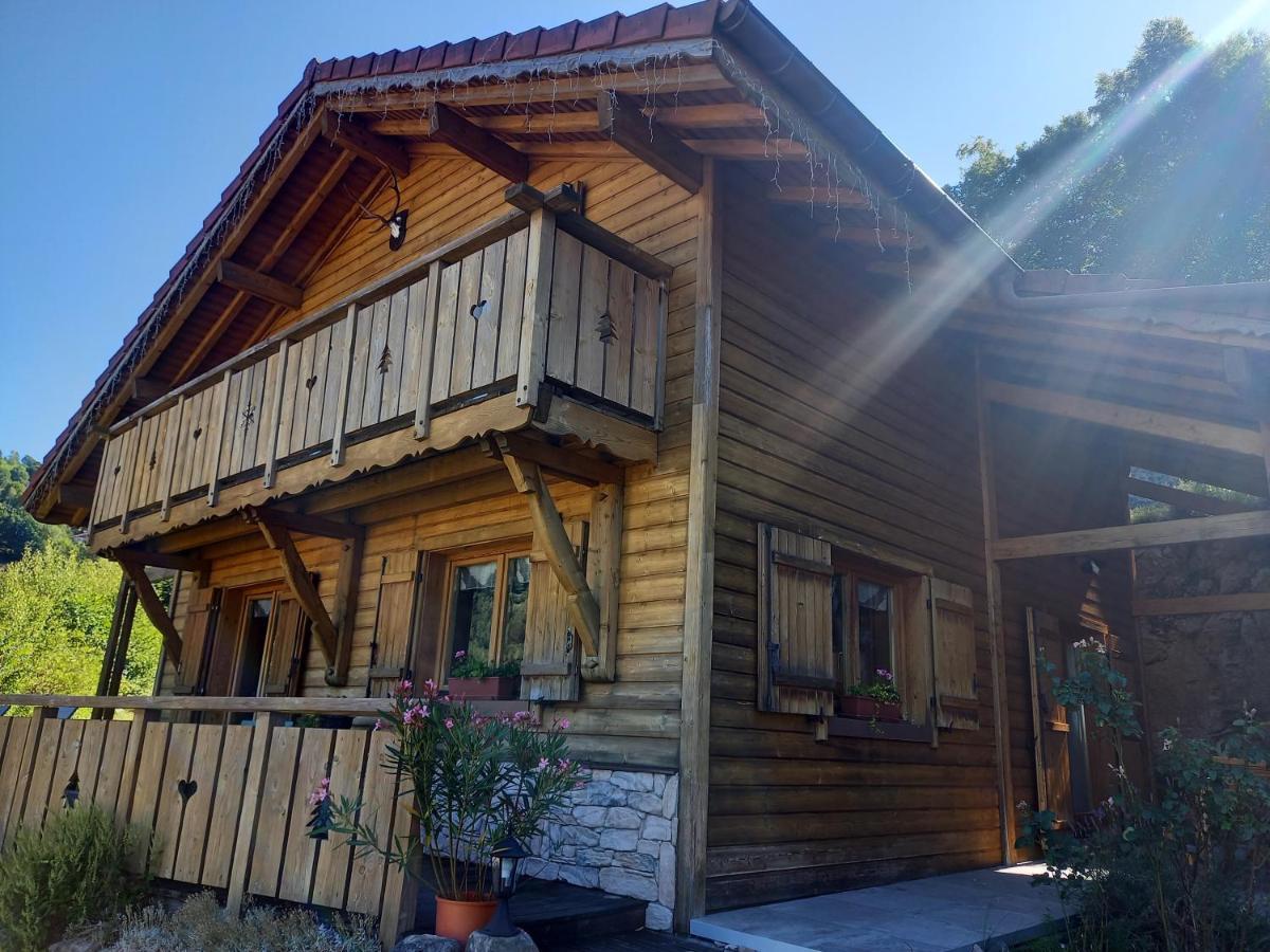 Chalet Typique Vosgien "Les Barbotines" 旺特龙 外观 照片