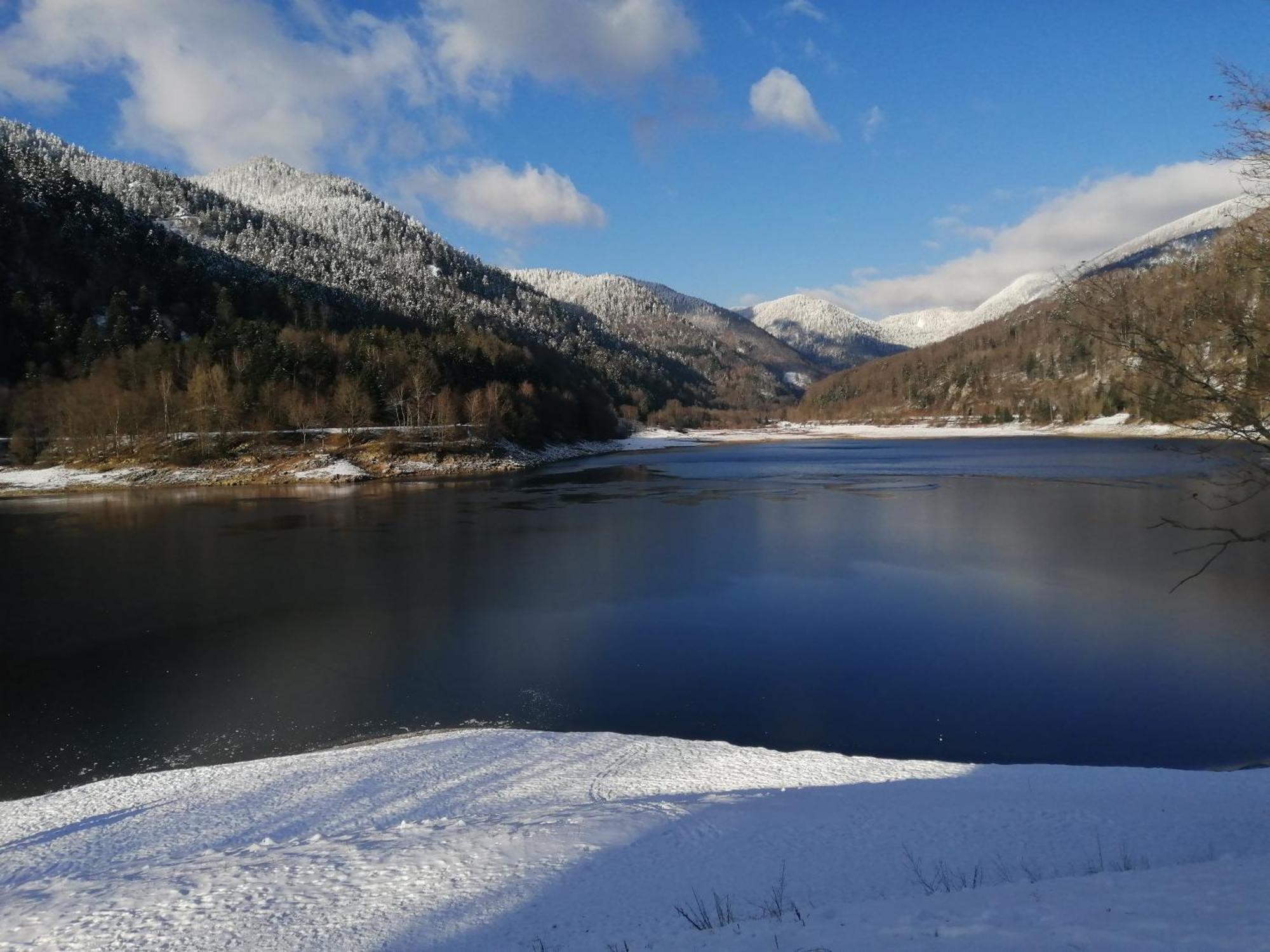Chalet Typique Vosgien "Les Barbotines" 旺特龙 外观 照片